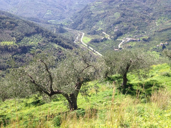 azienda milio esterno casa